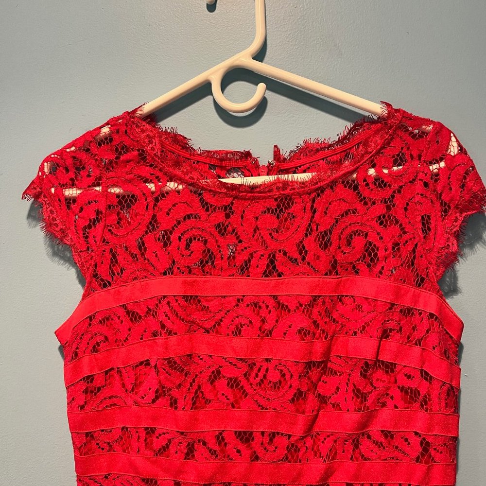Adriana Papel Lace Dress - Picture 2 of 3